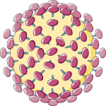 Infectiology_-_HIV_1_--_Smart-Servier Parts of the figure were drawn by using pictures from Servier Medical Art. Servier Medical Art by Servier is licensed under a Creative Commons Attribution 3.0 Unported License (https://creativecommons.org/licenses/by/3.0/)